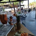 Kapahi