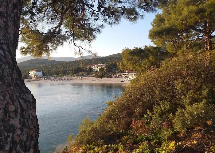 Kapahi بيفكاري