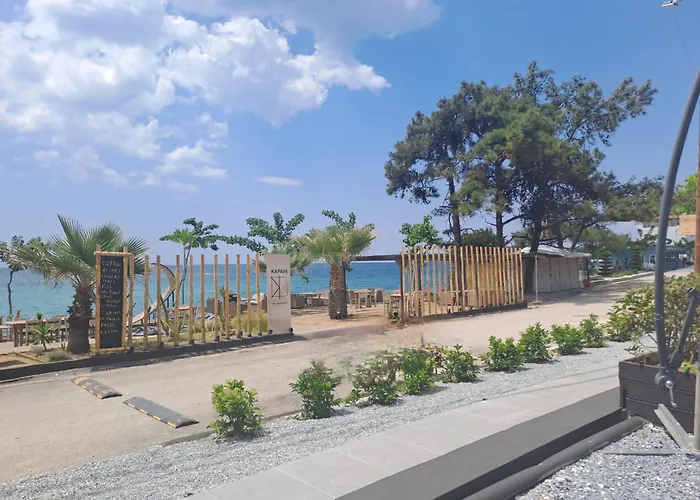 Kapahi بيفكاري