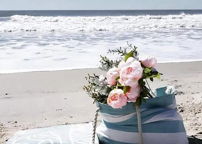 Kapahi فندق بيفكاري